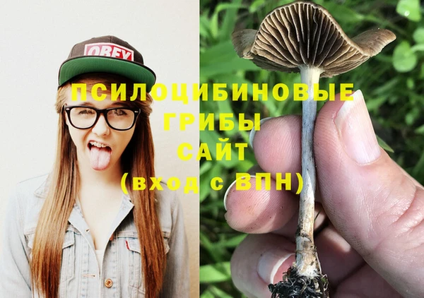 скорость Белокуриха