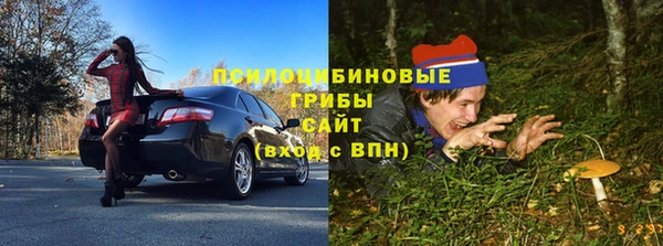 дживик Белоозёрский